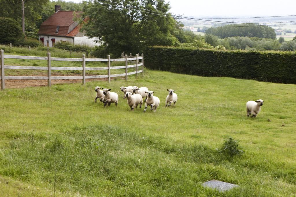 Vacation Home Landgoed De Monteberg Dranoutre Chambre photo